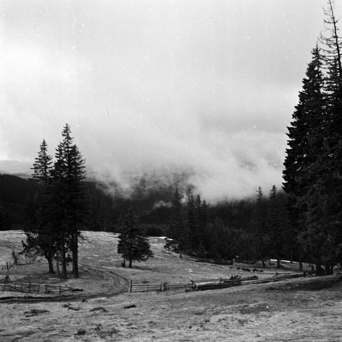 minerva_deak_f_c21_necategorizat2-063