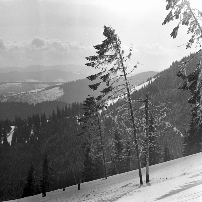 minerva_deak_f_c21_necategorizat2-064