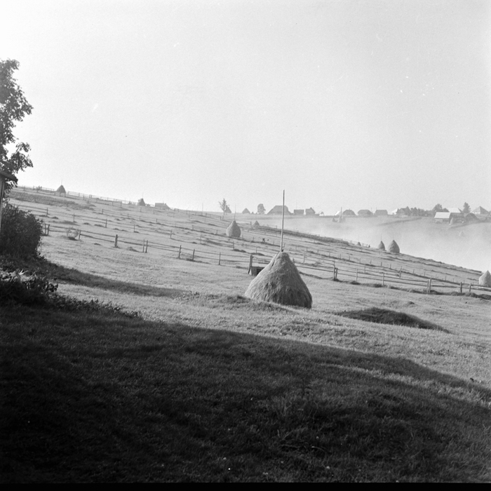 minerva_deak_f_c21_necategorizat2-065