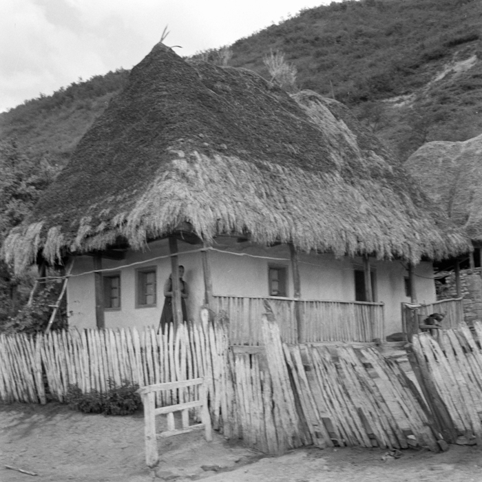 minerva_deak_f_c21_necategorizat2-078