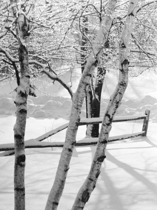 minerva_deak_f_c21_necategorizat2-080