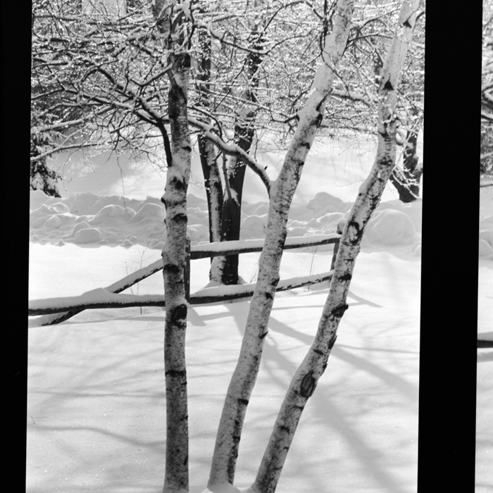 minerva_deak_f_c21_necategorizat2-081