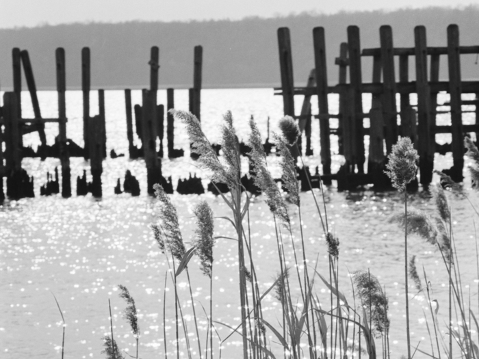 minerva_deak_f_c21_necategorizat2-082