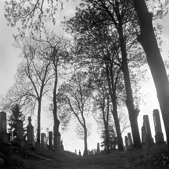 minerva_deak_f_c21_necategorizat2-083