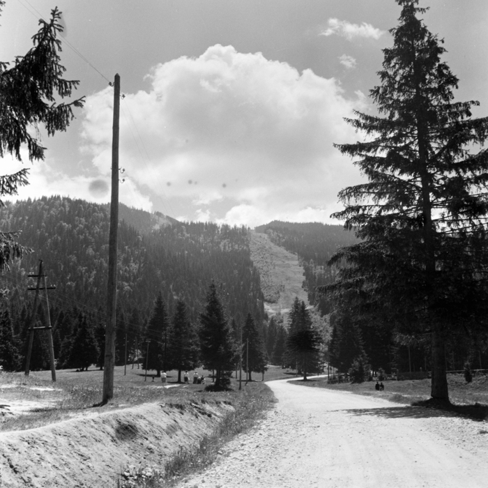 minerva_deak_f_c21_necategorizat2-088