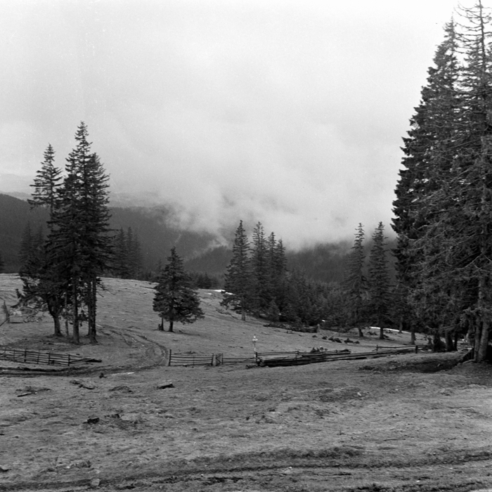 minerva_deak_f_c21_necategorizat2-097