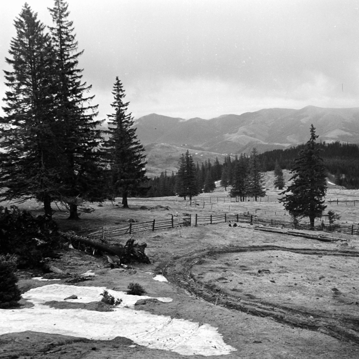 minerva_deak_f_c21_necategorizat2-098