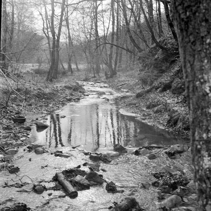 minerva_deak_f_c21_necategorizat2-099