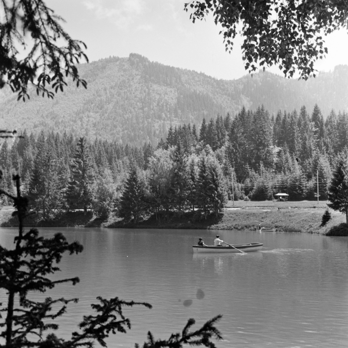 minerva_deak_f_c21_necategorizat2-100