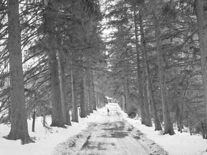 minerva_deak_f_c21_necategorizat2-117