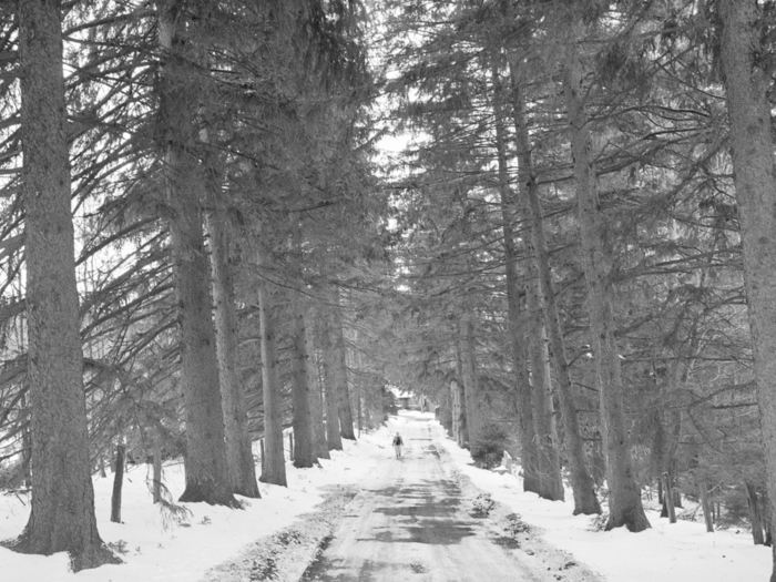 minerva_deak_f_c21_necategorizat2-118