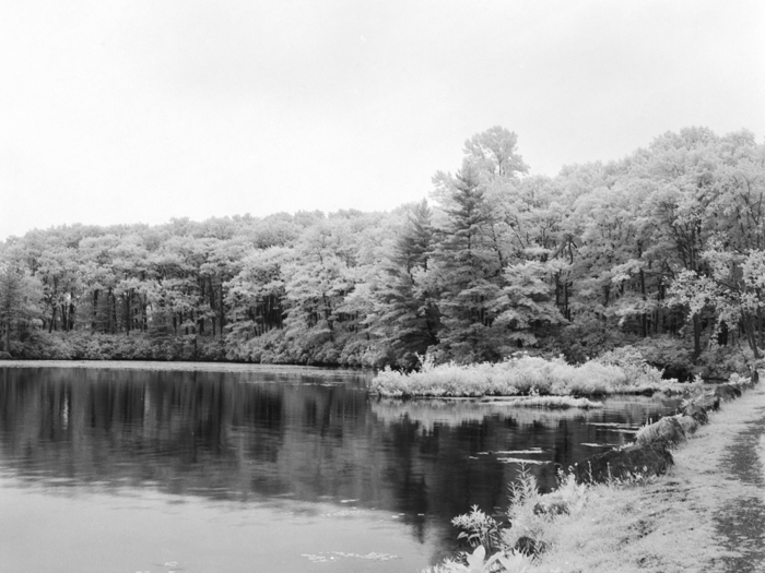 minerva_deak_f_c21_necategorizat2-125