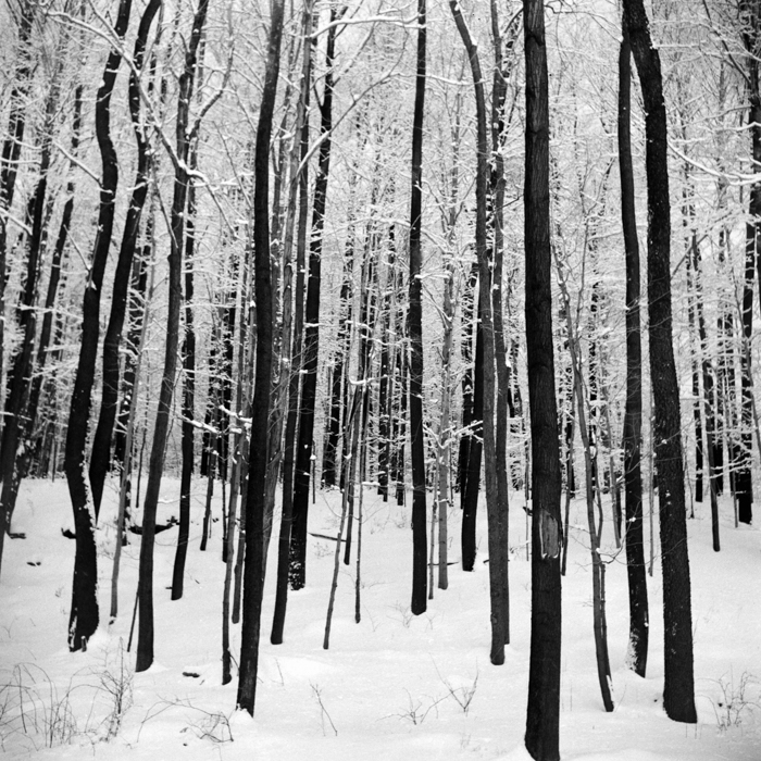 minerva_deak_f_c21_necategorizat2-133