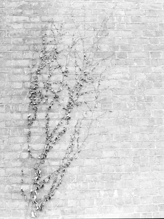 minerva_deak_f_c21_necategorizat2-138