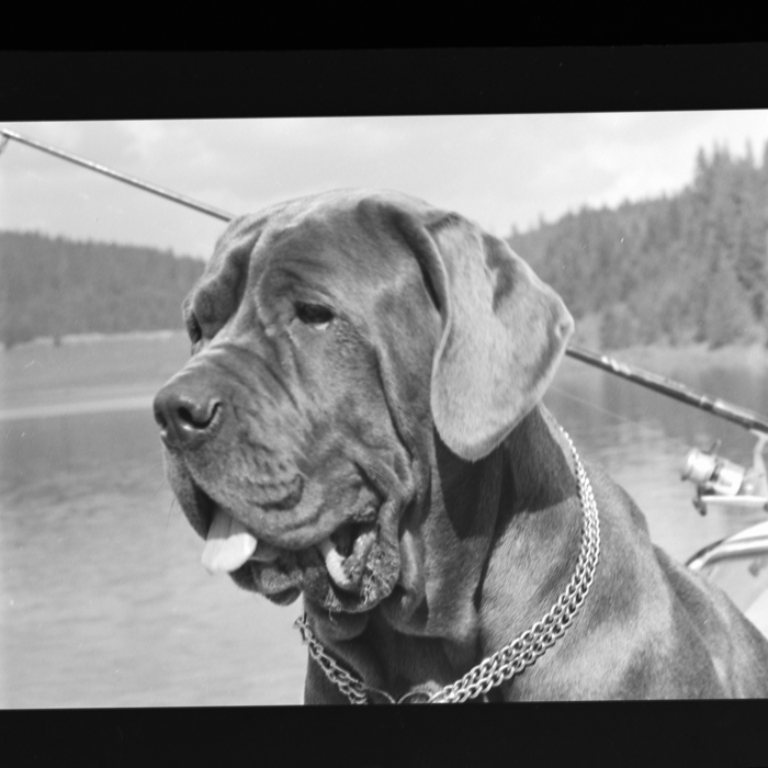 minerva_deak_f_c21_necategorizat2-143