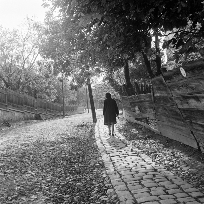 minerva_deak_f_c21_necategorizat3-020