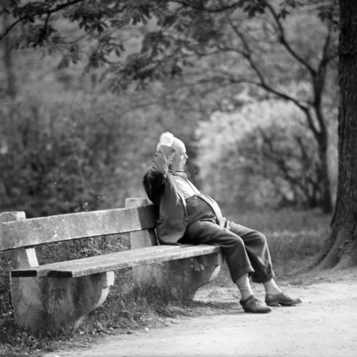 minerva_deak_f_c21_necategorizat3-024