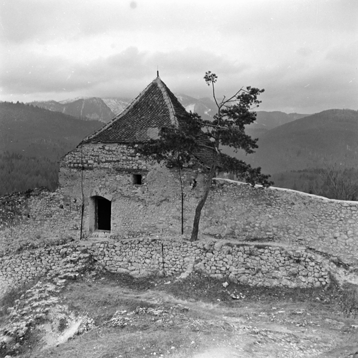 minerva_deak_f_c21_necategorizat3-032