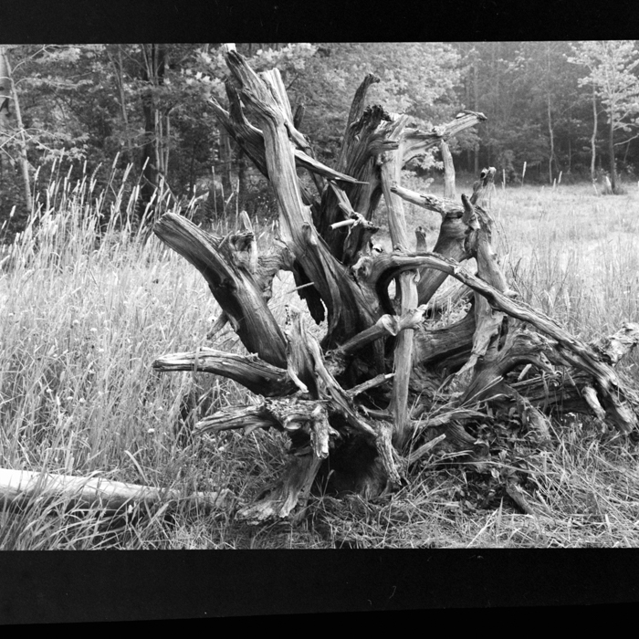 minerva_deak_f_c21_necategorizat3-050