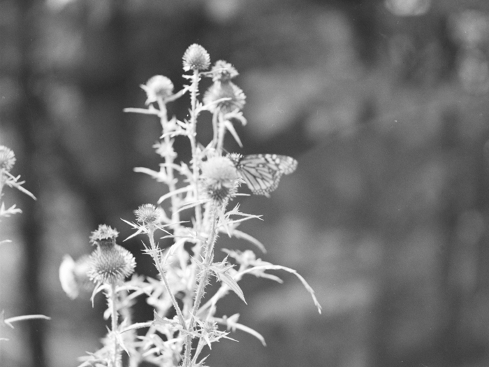 minerva_deak_f_c21_necategorizat3-055