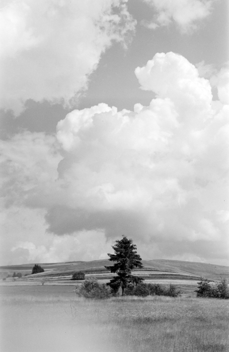 minerva_deak_f_c21_necategorizat3-088-Pano