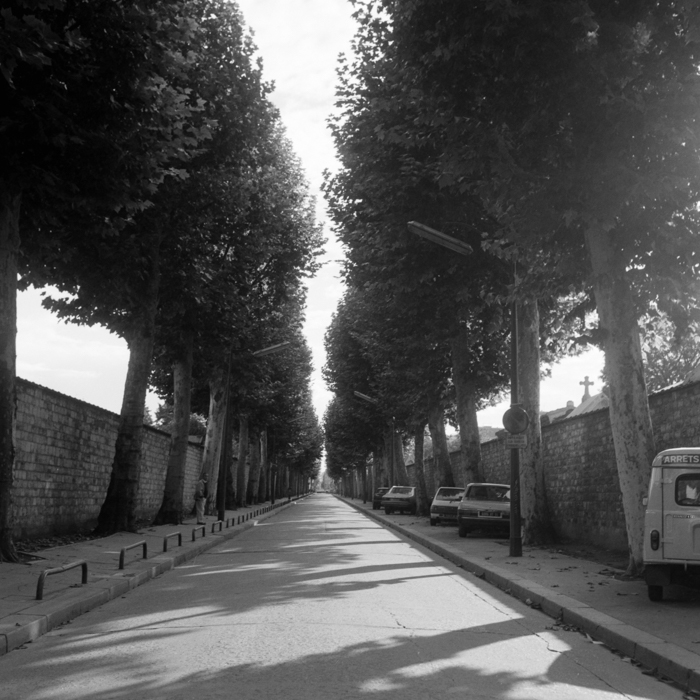 minerva_deak_f_c21_necategorizat4-003