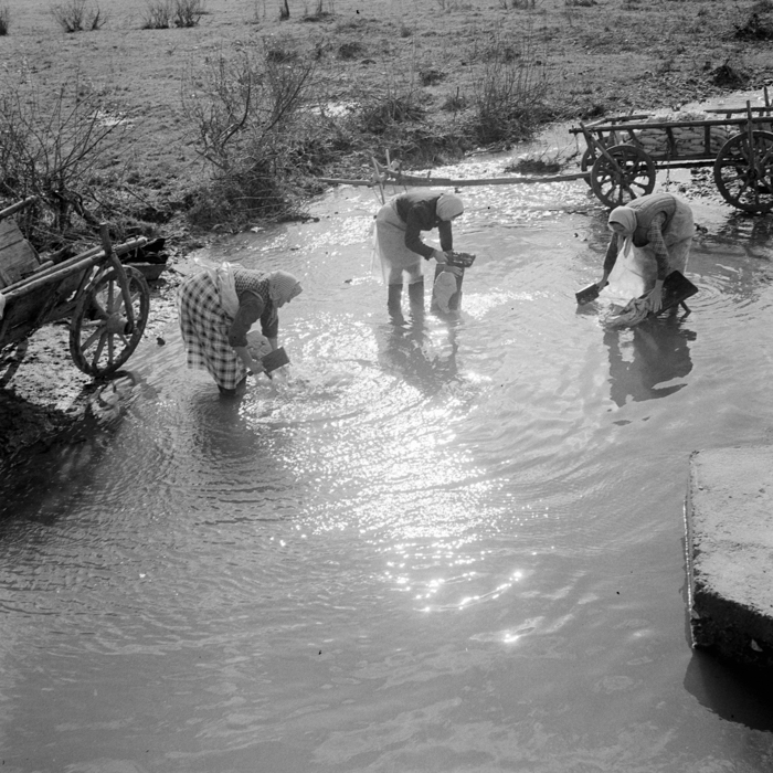 minerva_deak_f_c21_necategorizat4-012