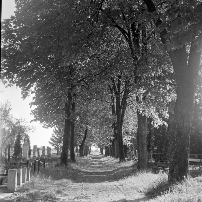 minerva_deak_f_c21_necategorizat4-017