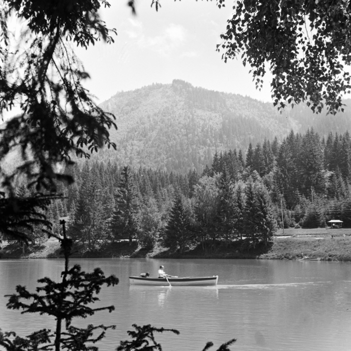 minerva_deak_f_c21_necategorizat4-023