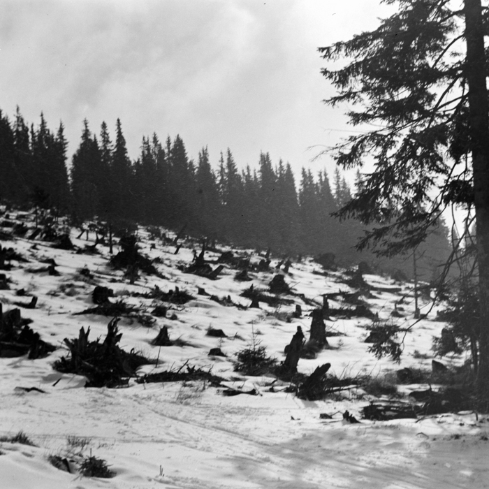 minerva_deak_f_c21_necategorizat4-033