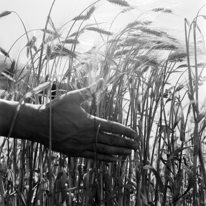 minerva_deak_f_c21_necategorizat4-041