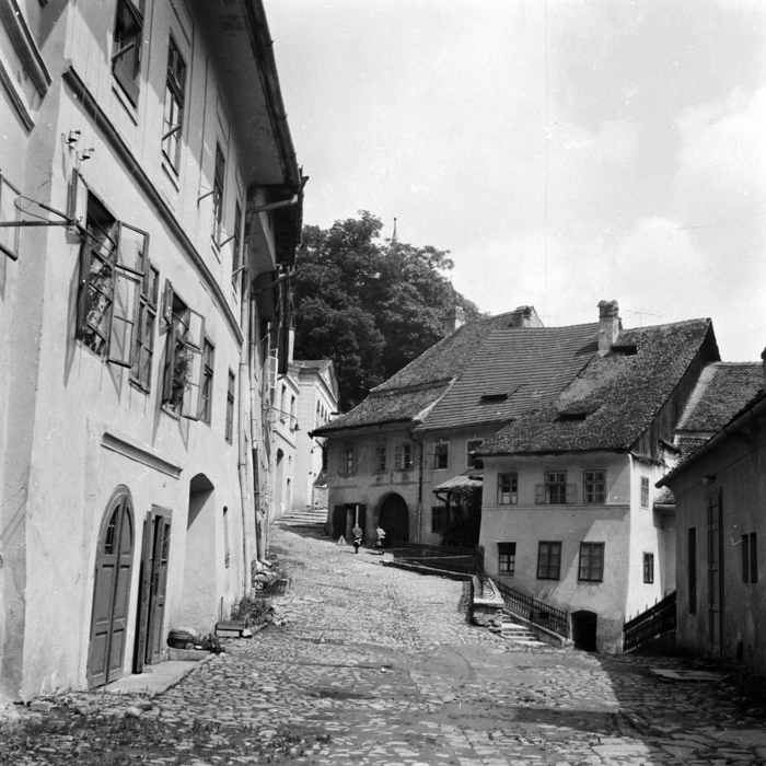 minerva_deak_f_c21_necategorizat4-043