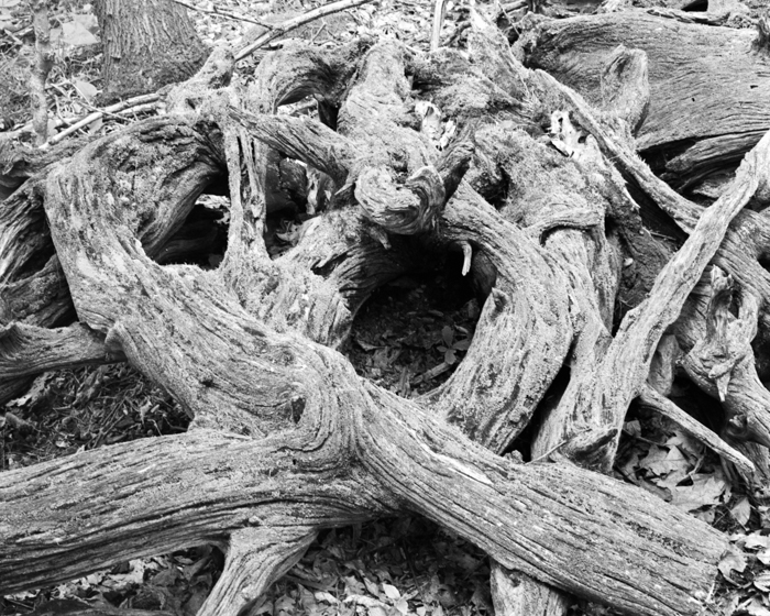 minerva_deak_f_c21_necategorizat4-044