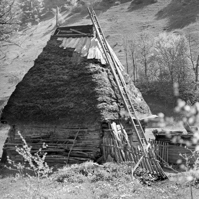 minerva_deak_f_c21_necategorizat4-050