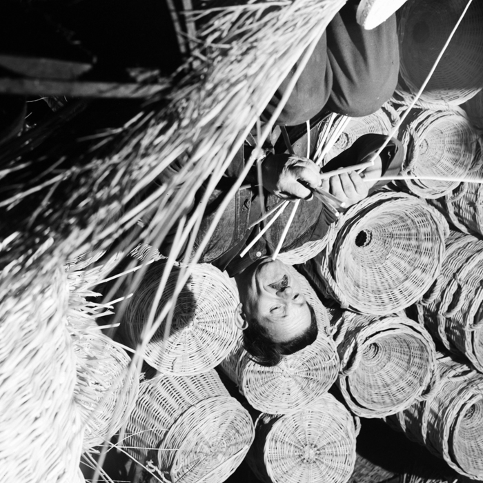 minerva_deak_f_c21_necategorizat4-068