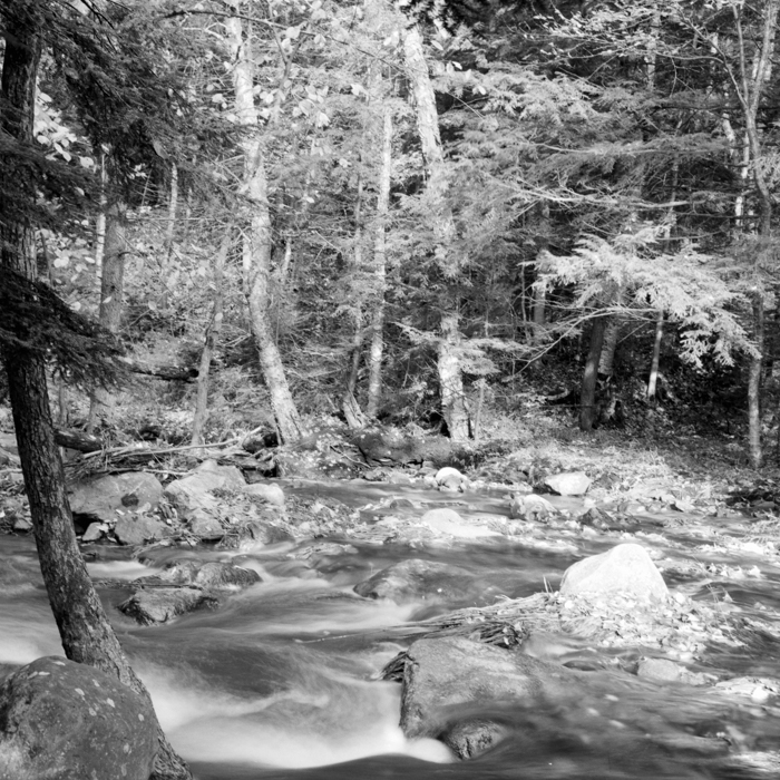 minerva_deak_f_c21_necategorizat4-078