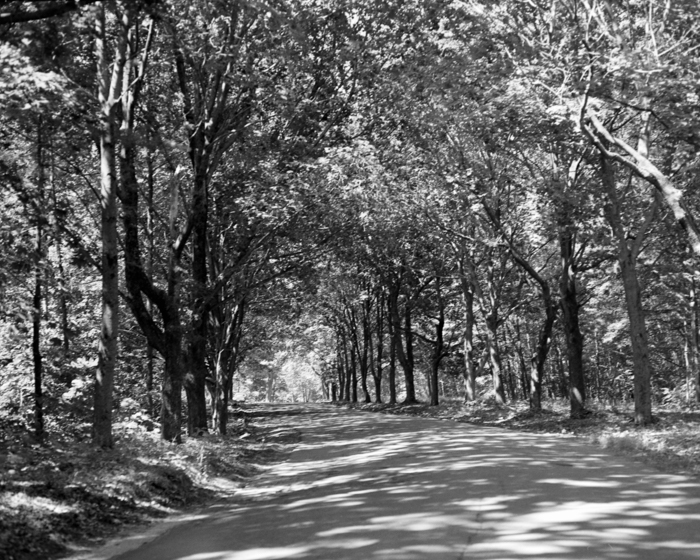 minerva_deak_f_c21_necategorizat4-092