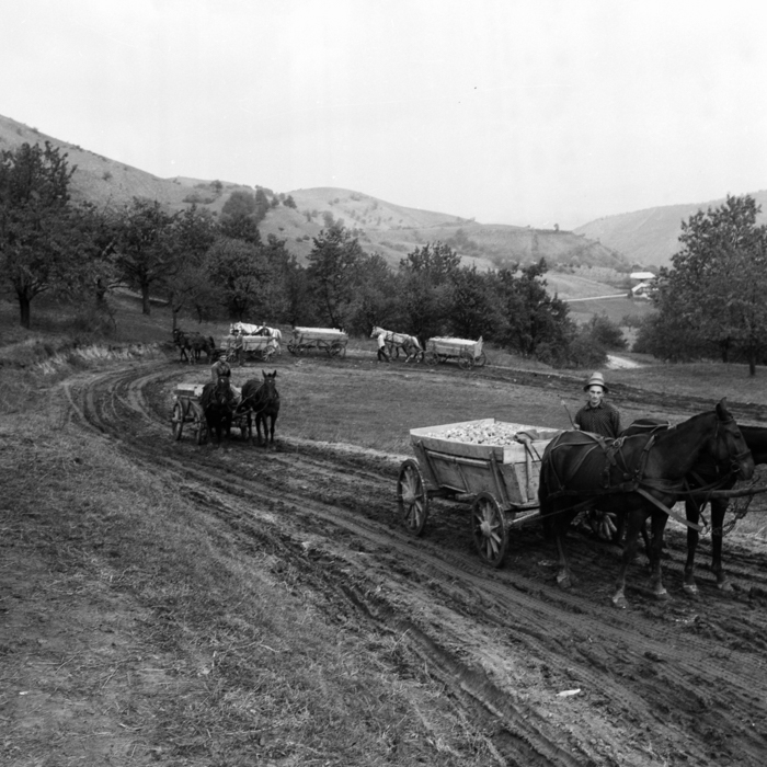 minerva_deak_f_c21_nepviselet,esemenyek-010