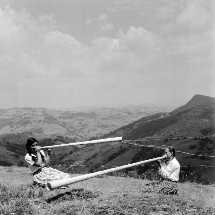 minerva_deak_f_c21_nepviselet,esemenyek-014