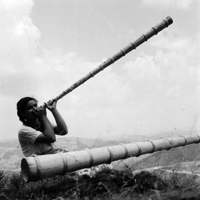 minerva_deak_f_c21_nepviselet,esemenyek-026