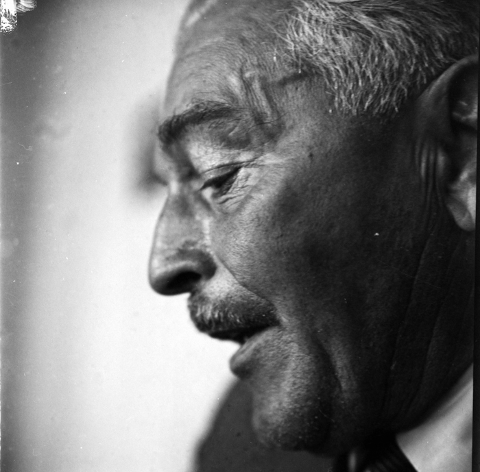 minerva_deak_f_c22_portret_Palocsay_Rudolf-001