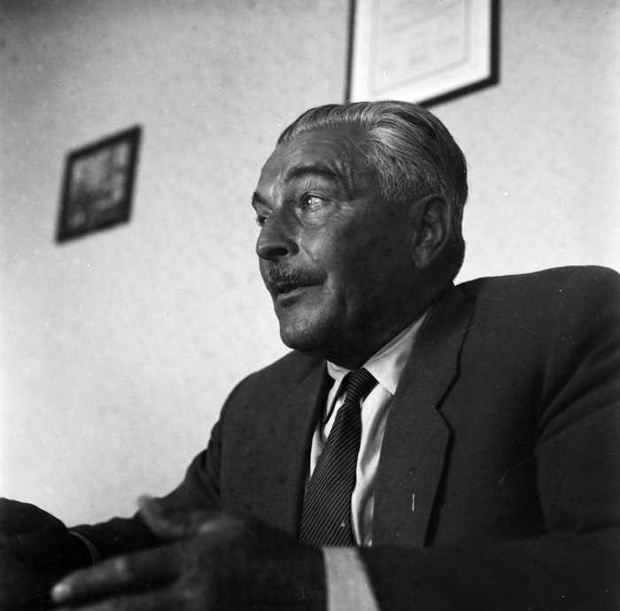 minerva_deak_f_c22_portret_Palocsay_Rudolf-003