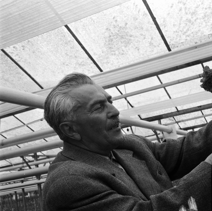 minerva_deak_f_c22_portret_Palocsay_Rudolf-008