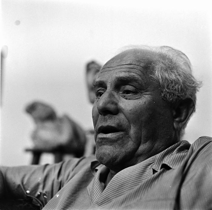 minerva_deak_f_c22_portret_Romulus_Ladea-005