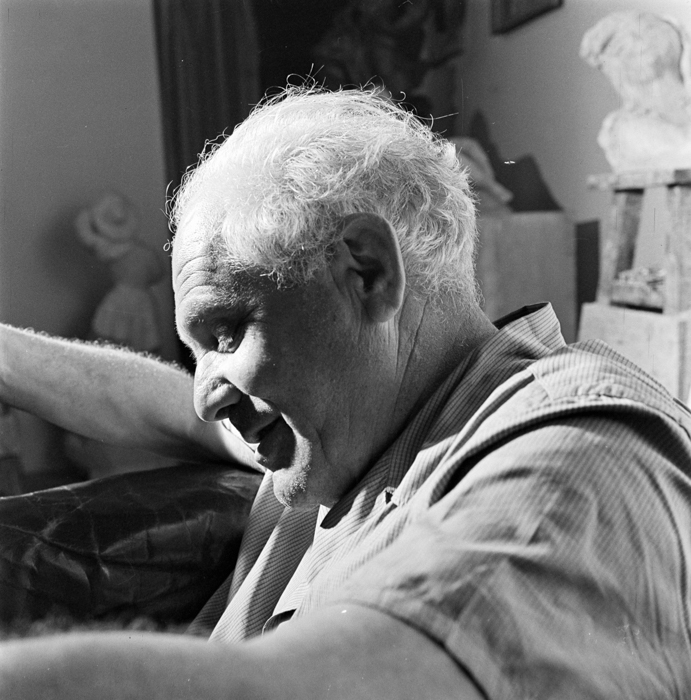 minerva_deak_f_c22_portret_Romulus_Ladea-008