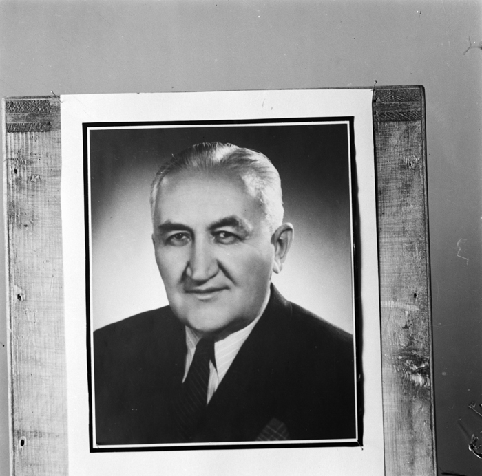 minerva_deak_f_c22_portret_prof_Hateganu-003