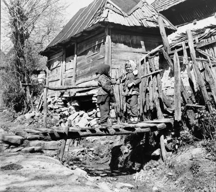 minerva_deak_f_c2_diverse-018