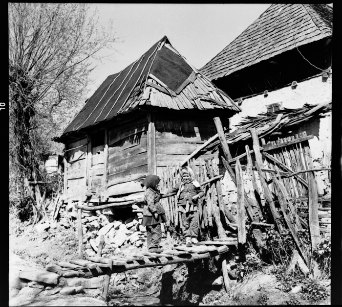 minerva_deak_f_c2_diverse-020