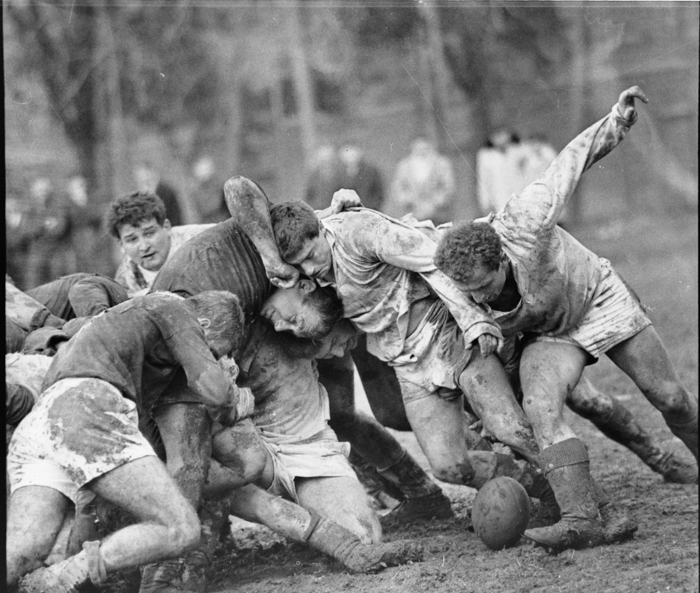 minerva_deak_f_c2_diverse-043