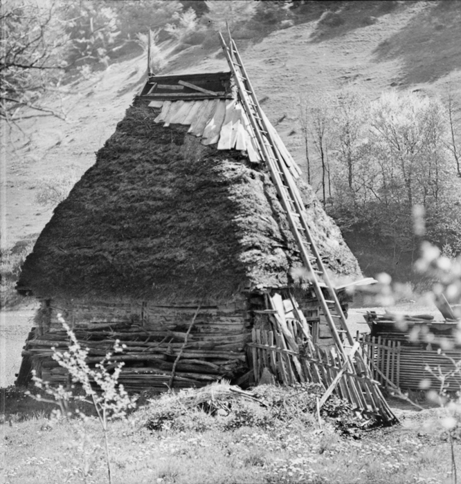 minerva_deak_f_c2_diverse-045